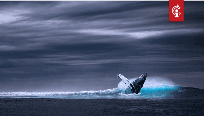 Bitcoin (BTC) whales kochten relatief hoog in, blijkt uit data van Whalemap