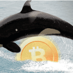 Bitcoin (BTC) whales nemen voor het eerst sinds 2016 in aantallen toe, maar ze worden niet rijker