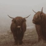 Bitcoin blijft stijgen, kan koers door $35.000 breken Deze altcoins presteerden het best deze week