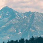 Bitcoin consolideert terwijl altcoins als cardano weer flink stijgen, solana schiet xrp voorbij naar nieuwe ATH