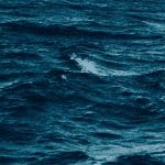 Bitcoin corrigeert en terwijl ethereum, cardano en xrp blijven hangen, binance coin koers stijgt hard