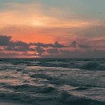 Bitcoin en ethereum dalen na ATH’s, maar gaan ze nu weer stijgen? Solana gaat hard, deze altcoin stijgt harder