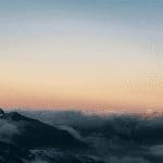 Bitcoin en ethereum houden stand terwijl solana, cardano en polkadot dalen, deze altcoins stijgen flink