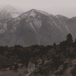 Bitcoin en ethereum stijgen, zet dit door Solana, litecoin, tron stijgen harder, deze altcoins het hardst