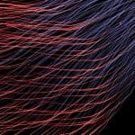 Bitcoin, ethereum en cardano zakken iets, dogecoin daalt harder, solana en terra naar nieuwe ATH’s