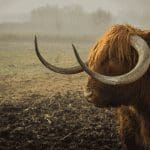 Bitcoin koers breekt uit bullish patroon! John kijkt verder naar ethereum, enjin, solana en meer