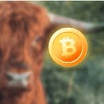 Bitcoin koers kan in 2021 naar $100.000 stijgen, zegt Dan Held van cryptocurrency-exchange Kraken