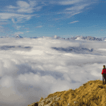 Bitcoin koers klimt zeer dicht in de buurt van ATH, shiba inu stijgt weer hard, maar deze altcoin nog harder