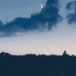 Bitcoin koers zakt iets na nieuwe ATH, gaat ethereum nu een nieuwe ATH bereiken Solana blijft hardste stijger