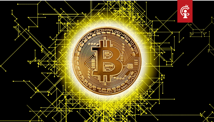 Bitcoin_maximalist_Adam_Back_van_Blockstream_haalt_uit_naar_Ethereum_Ripple_Cardano_en_meer Bitcoin maximalist Adam Back van Blockstream haalt uit naar Ethereum, Ripple, Cardano en meer