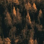 Bitcoin stijgt iets, ethereum pakt weer nieuwe ATH, solana haalt cardano in, crypto markt bereikt nieuw record