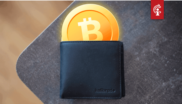Bitcoin wallet adressen met $10, $100 en $1000 aan BTC bereiken nieuwe all-time highs (ATH)