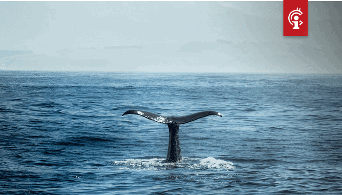 Bitcoin whale verplaatst maar liefst 60.000 BTC ter waarde van $624 miljoen