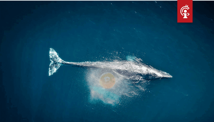 Bitcoin whales halen 100.000 BTC ter waarde van $11,7 miljard van exchanges