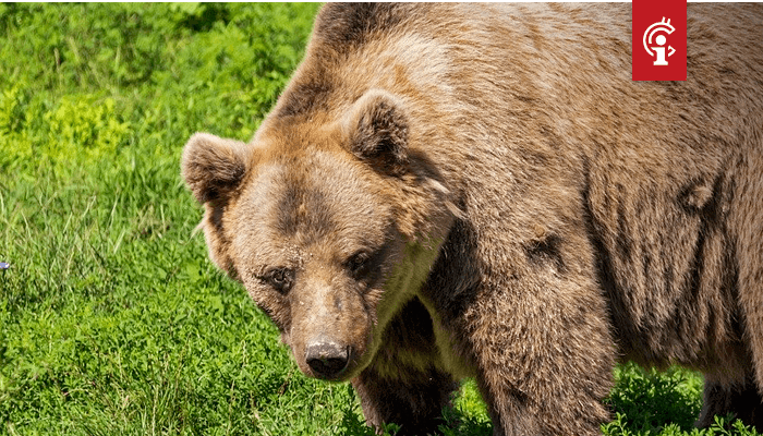 Bitcoins_BTC_piek_van_9.500_kan_een_lagere_high_zijn_deze_analisten_zijn_short-term_bearish Bitcoins (BTC) piek van $9.500 kan een lagere high zijn, deze analisten zijn short-term bearish