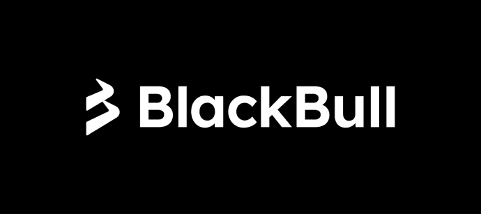 Black Bull Markets