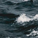 Breekt bitcoin koers uit Ether stijgt harder, deze crypto stijgen het hardst en polkadot schiet langs dogecoin