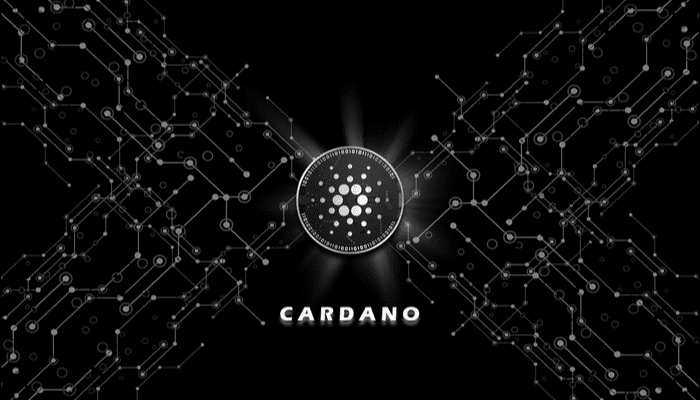 Meer dan 800.000 NFT’s op het Cardano netwerk gecreëerd