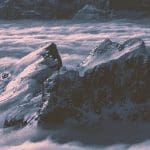 'Cardano (ADA) houdt goed stand ten opzichte van bitcoin (BTC) en ethereum (ETH) tijdens crash'