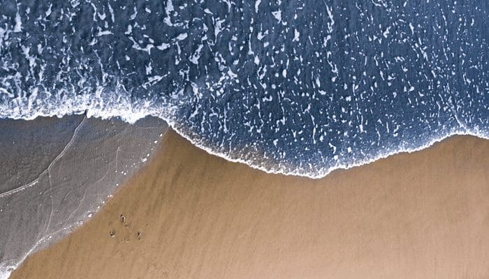 Cardano_ADA_koers_nadert_zijn_record_bij_155_kan_ADA_naar_5_stijgen Cardano (ADA) koers nadert zijn record bij $1,55, kan ADA naar $5 stijgen