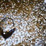 Cardano (ADA) lanceert binnenkort converter om Ethereum tokens snel over te zetten naar Cardano