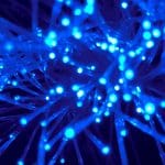Cardano (ADA) ontvangt felle kritiek over compliance, CEO Charles Hoskinson reageert