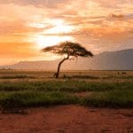 Cardano (ADA) oprichter We staan aan de vooravond van grote deals in Afrika