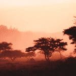 Cardano's (ADA) grote samenwerking met Ethiopië loopt vertraging op, oprichter legt uit waarom