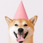 Coinbase geeft $1,2 miljard Dogecoin (DOGE) weg ter viering van notering, koers blijft echter dalen