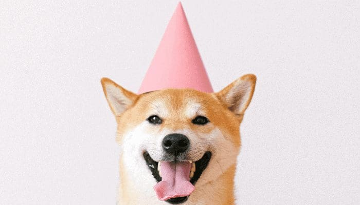 Coinbase geeft $1,2 miljard Dogecoin (DOGE) weg ter viering van notering, koers blijft echter dalen
