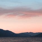 Crypto Twitter Zakt bitcoin uit trendkanaal - Chainlink lanceert oracles op Solana testnet