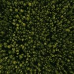 Crypto exchange FTX maakt aanmaken van NFT's op Ethereum en Solana nog makkelijker