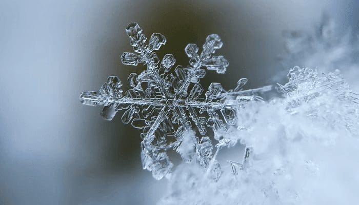 Crypto winter volgt mogelijk, aldus Kraken exchange CEO