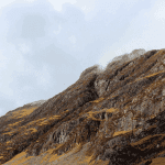 DeFi markt stijgt weer hard: Aave, Compound, Sushi, Uniswap & 1inch bereiken nieuwe ATH's