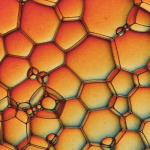 De 100 grootste Polygon (MATIC) bezitters hebben meer dan 90% van het totale aanbod in handen