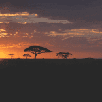 De president van dit Afrikaanse land wil de mogelijkheden van bitcoin (BTC) onderzoeken