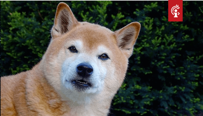 Dogecoin (DOGE) koers schiet 20% omhoog door TikTok viral challenge