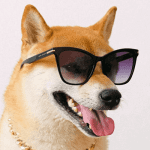 Dogecoin (DOGE) koers stijgt weer hard nadat Elon Musk reeks Twitterberichten publiceert