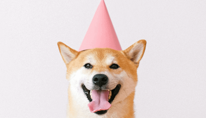 Dogecoin (DOGE) nu te gebruiken bij Coinbase Commerce aangesloten bedrijven