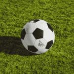 Dogecoin (DOGE) populariteit stijgt, logo binnenkort op shirt van Premier League voetbalteam