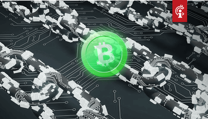 Een_derde_van_de_bitcoin_cash_BCH_staat_al_5_jaar_volledig_stil Een derde van de bitcoin cash (BCH) staat al 5 jaar volledig stil