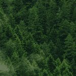 Eerste Cardano (ADA) smart contract uitgevoerd op testnet, een nieuwe belangrijke mijlpaal