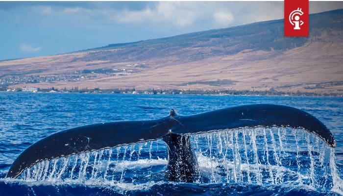 Ethereum (ETH) whales verplaatste vlak voor uitbraak 700.000 ETH