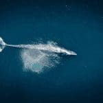 Ethereum even deflationair, PlanB ziet lage bitcoin transactiekosten en whales liggen op de loer!