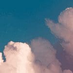 FTX Token (FTT) steeg dit jaar al 1.000% in waarde, maar wat is het
