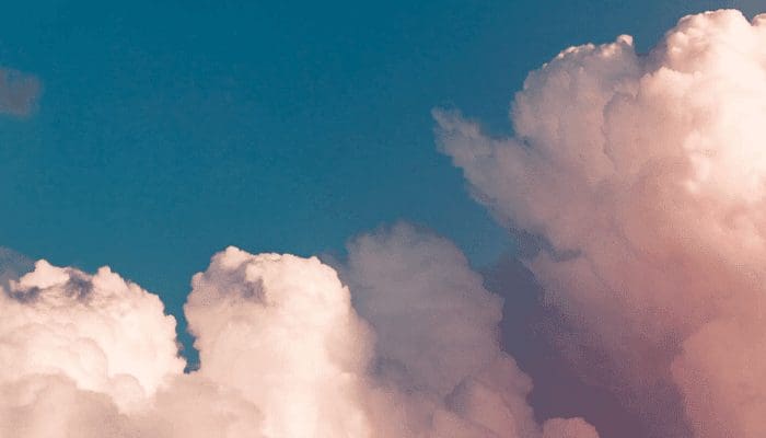 FTX_Token_FTT_steeg_dit_jaar_al_1.000_in_waarde_maar_wat_is_het FTX Token (FTT) steeg dit jaar al 1.000% in waarde, maar wat is het