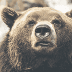 Is de bullmarkt ten einde? John bekijkt de bitcoin prijs crash