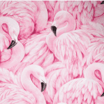 NEO concurreert met Ethereum en stapt DeFi in met lancering van Flamingo Finance (FLM)