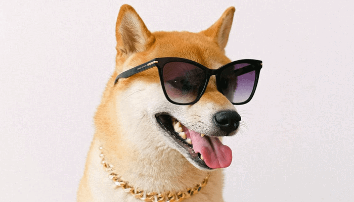 NFT van foto achter Doge meme en Dogecoin verkocht voor $4 miljoen aan ethereum