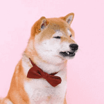 NFT van oorspronkelijke dogecoin (DOGE) meme wordt geveild in miljarden stukjes als DOG tokens